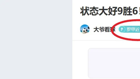 马雷斯卡强调：帕尔默缺席，众目聚焦，其地位凸显