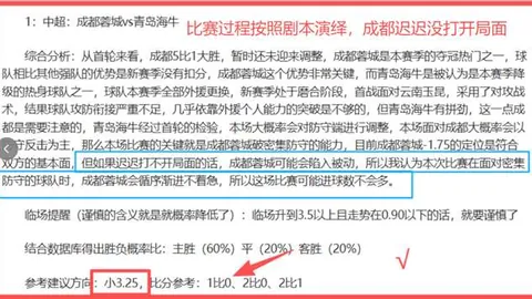 国际马联洛杉矶奥运资格赛机制研讨（2025-04-03）